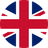 Current locale flag